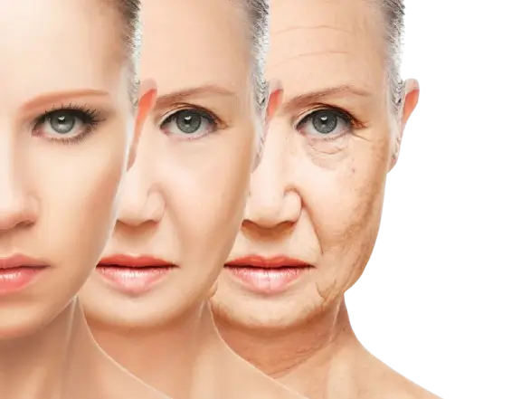 Mature Skin Types